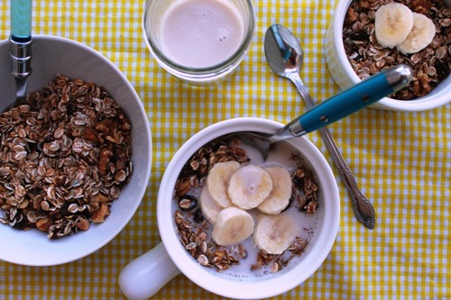 Basic Granola Recipe